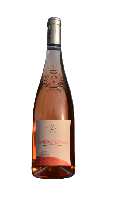 Cabernet d'Anjou Domaine Des Forges 2020-0