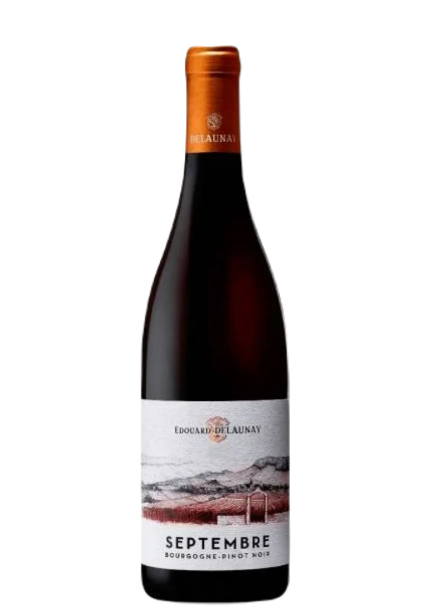 Bourgogne Pinot Noir Septembre 2019 - Edouard Delaunay-0