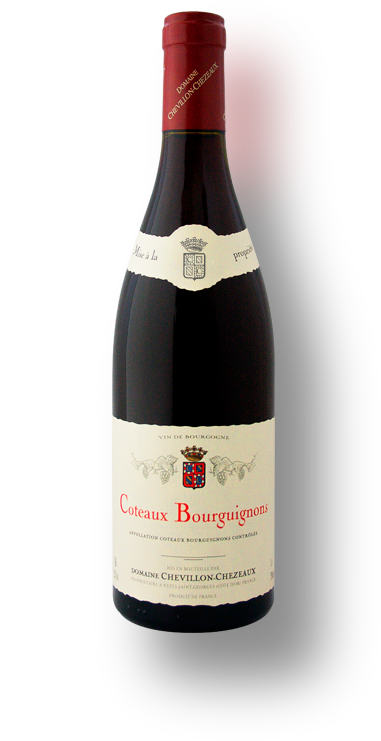 Coteaux Bourguignons 2019, Domaine Chevillon-Chezeaux-0