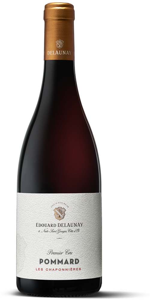Les Chaponnières 2019 - Pommard - E. Delaunay-0