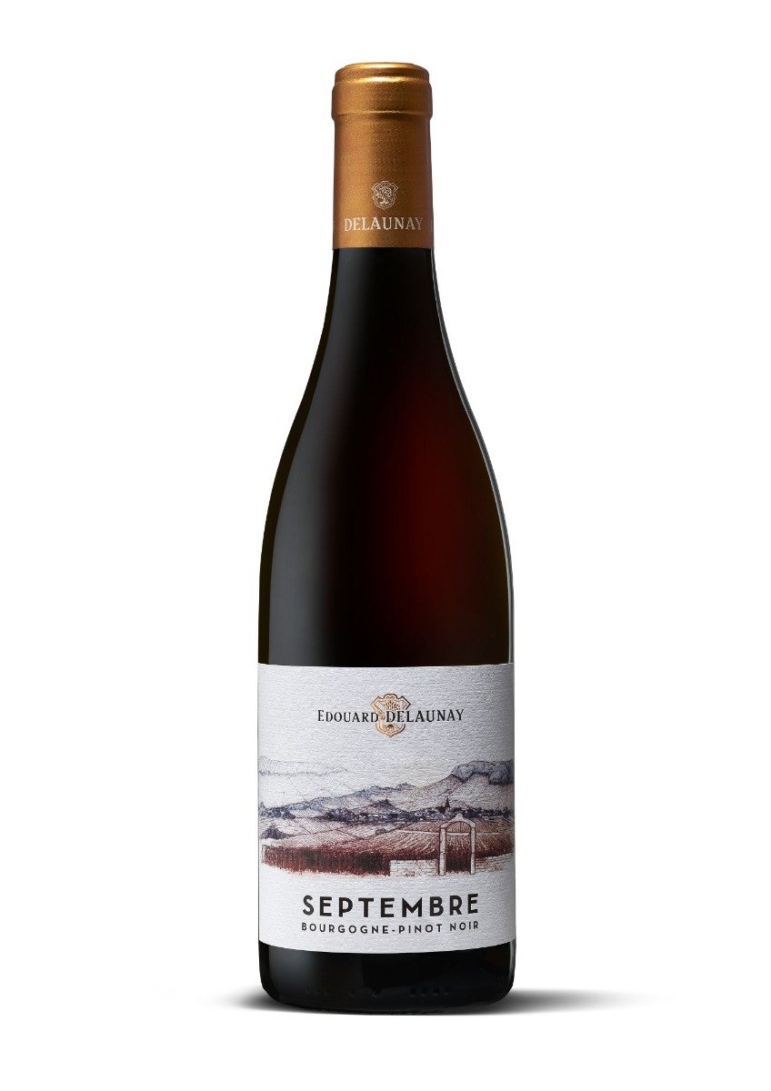 Bourgogne Pinoit Noir Septembre 2022 - Edouard Delaunay-0