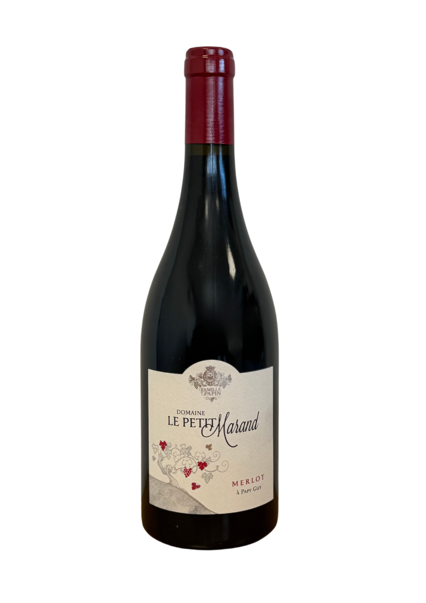 Merlot à Papy Guy 2022 Domaine le Petit Marand-0