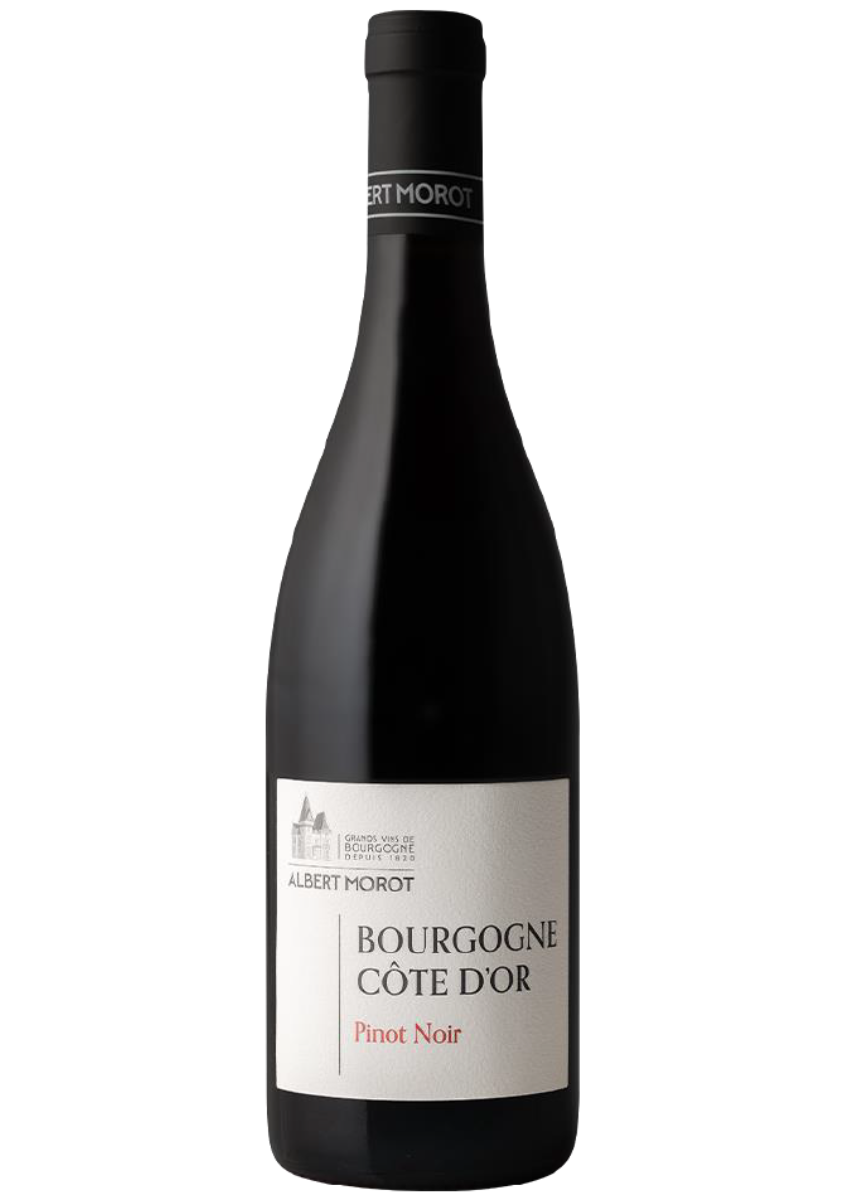 Bourgogne Côte d'Or Albert Morot 2023 75cl